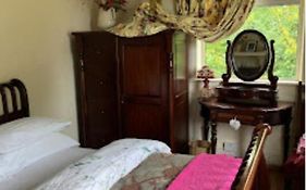 Budget Double Room In City
